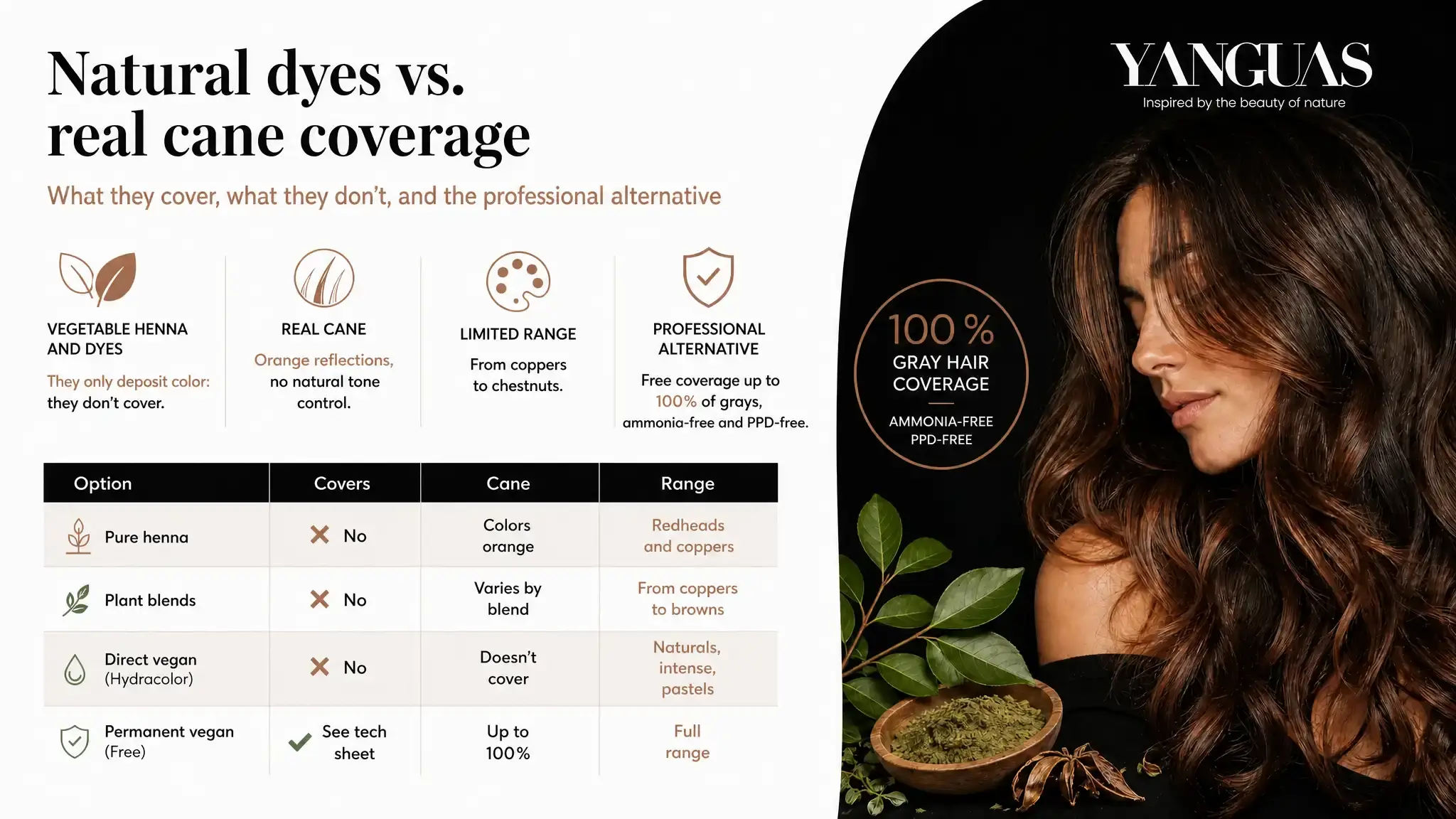 What Henna and Natural Dyes Can and Cannot Cover in the Salon