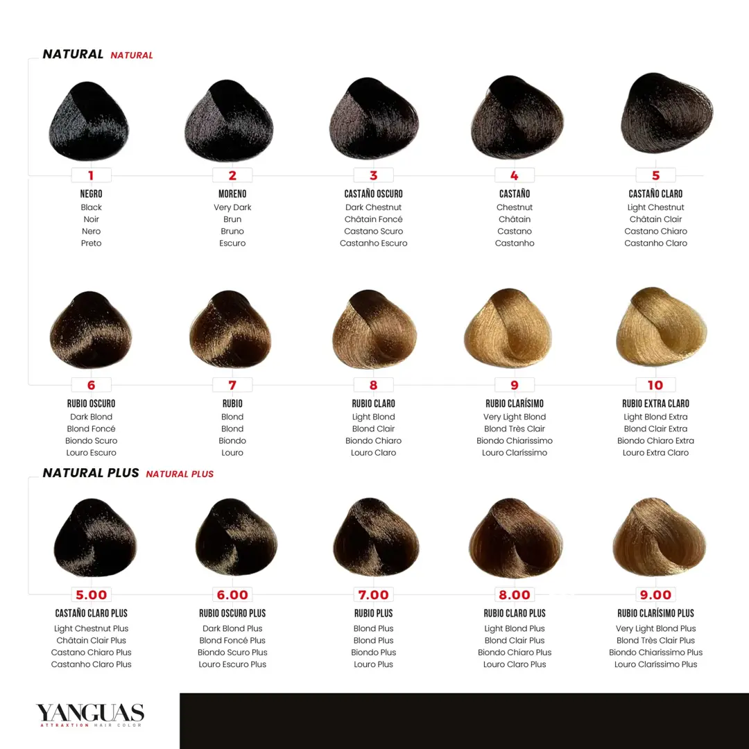 Page of the Yanguas Professional Attraxtion colour chart showing the natural series from 1 to 10