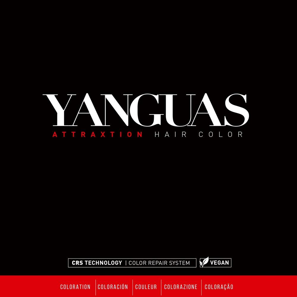 Cover of the Yanguas Professional Attraxtion colour chart
